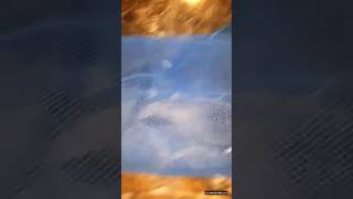 Suara Pancing Mandarpelan Di Jamin 100 Nabrak Jaring