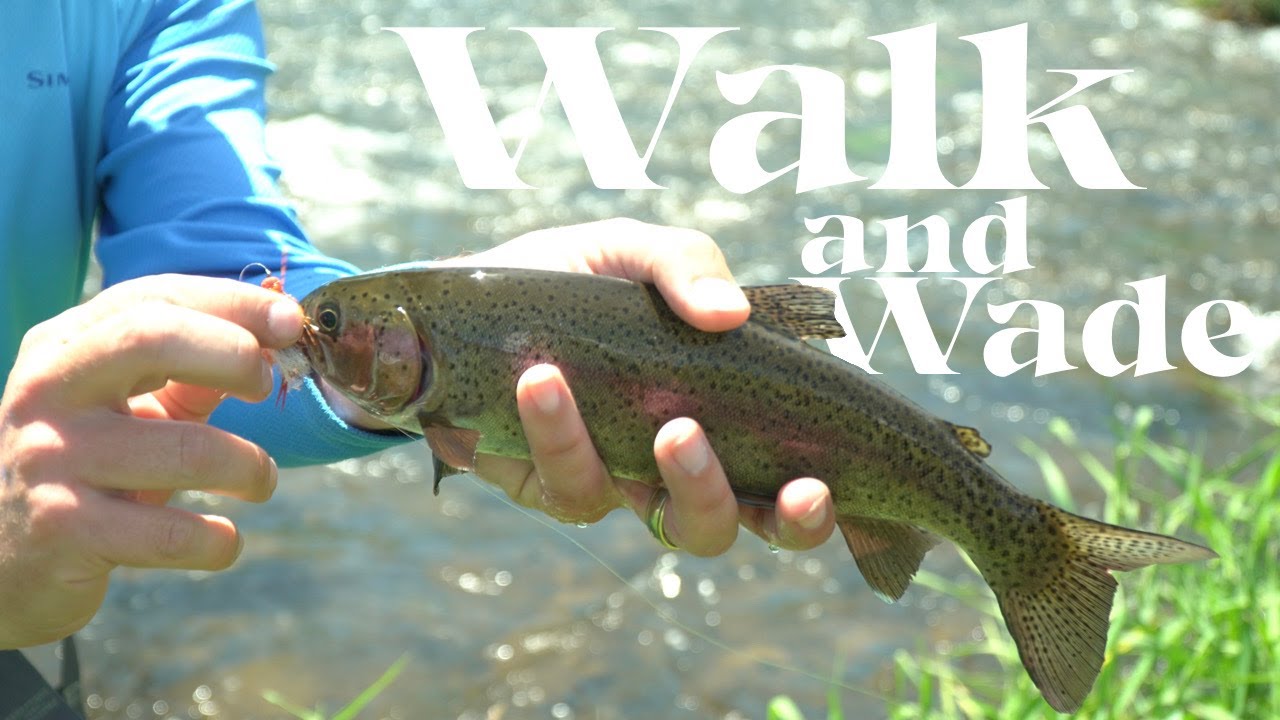 It's time for walk & wade trips || Hat Creek || Confluence Outfitters