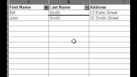 Microsoft Office Excel 2000 Filtering data