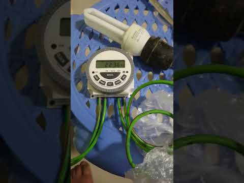 Timer test