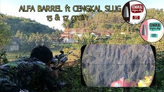 Download Lagu LONG RANGE TEST UNITNYA MAS AMSIDIN || RUSIAN BARREL ft CENGKAL SLUG 15 \u0026 17 GRAIN MP3