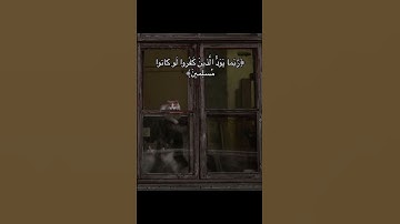 تلاوة عطرة #quran #قرآن #ديني #religious #القرآن_الكريم #تلاوة_خاشعة #تلاوات #راحة_نفسية