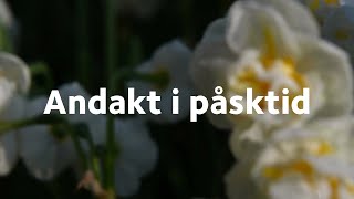 Skärtorsdagens andakt