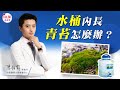 I共振保健室 水桶內長青苔了 怎麼辦 I共振保健室 水桶內長青苔了 怎麼辦