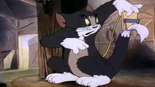 Tom & jtom jerry is an american animated series that shown on
television and in theaters across a wide range of genres ranging from
short films to long ...