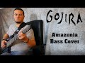 Amazonia - Gojira - Bass Cover - Kiesel Zeus Bass - Darkglass Alpha Omega Ultra and X Ultra