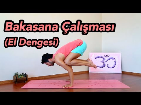 Video: Karga tarafını nasıl öğrenirsiniz?