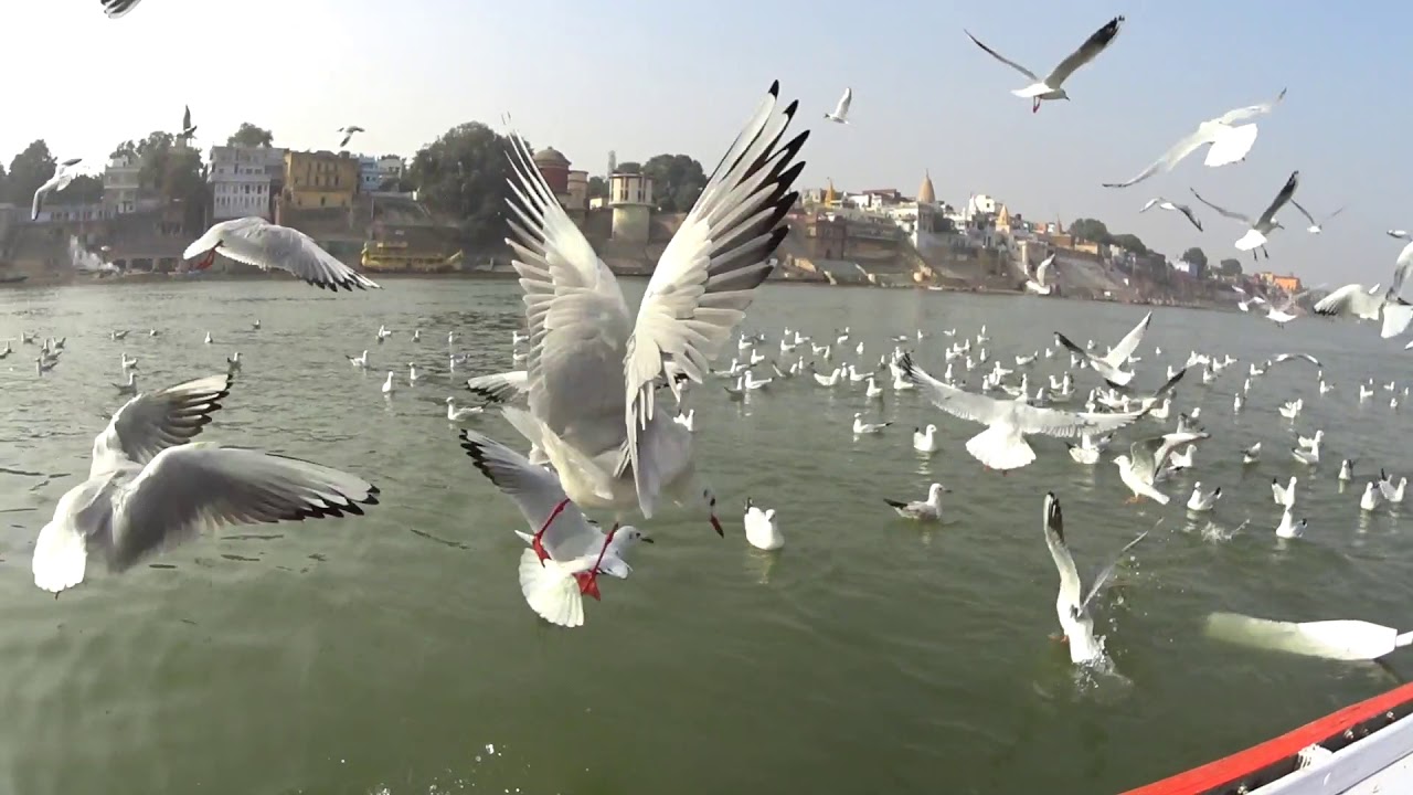 Тур в Индию с изучением хинди