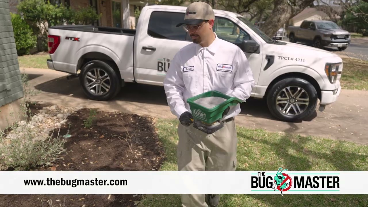 The Bug Master Ant Control