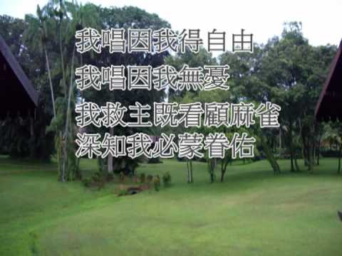 祂看顧小麻雀.mpg