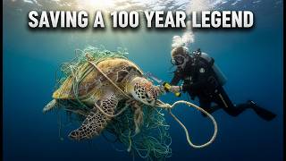 Epic Animal Rescue: Saving a 100-Year-Old Sea Turtle from Ghost Nets