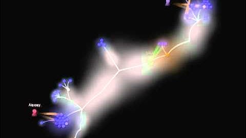 Gource - wiremod.ru SVN