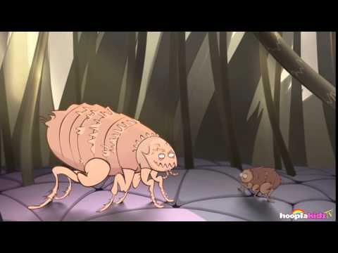 Cartoons For Kids   Funny Cartoons For Children   Creepy Crawlies & Funny Insect Videos For Fun.mp4