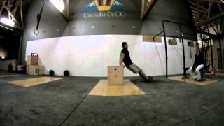 Bodeefit Dips