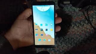 Pine Phone With Plasma Mobile Neon