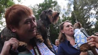 видео «Заповедник» в Мелихове