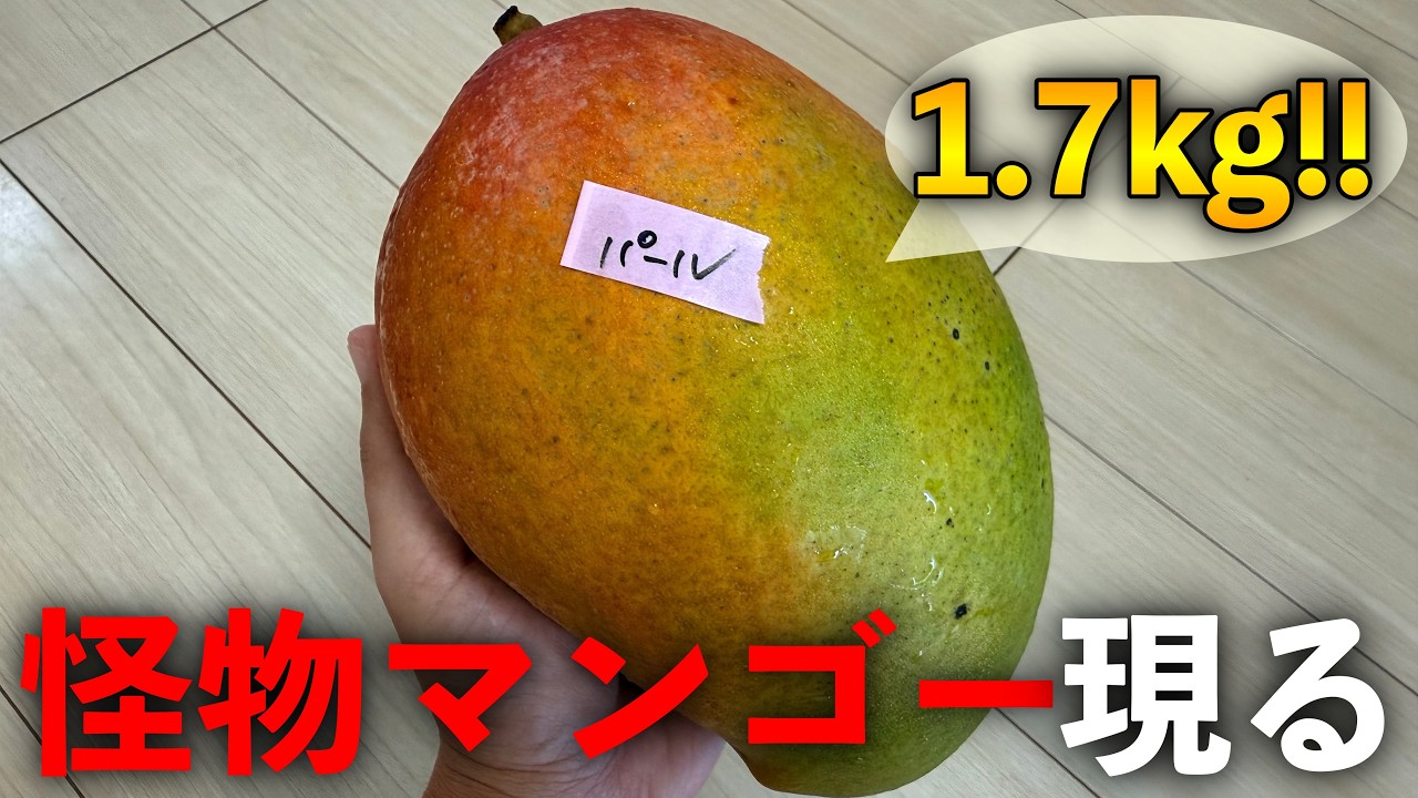 The Giant Mango Was Shocking - YouTube