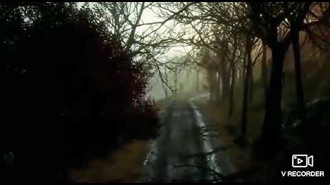 NFS The run final stage | best race scene | NFS stage 10 EAST COAST | Need for Speed