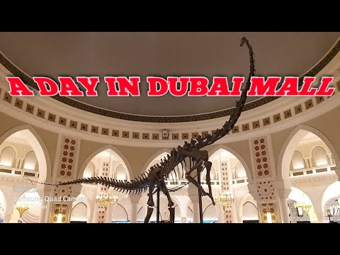 A DAY IN DUBAI MALL ICE RINK #dubaimall #burjkhalifa #dubai #viralvideo #dubaiburjkhalifa@NAJUMDUBAI