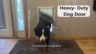 Baboni XL Doggy Door for Wall | Steel Frame, Real Dog Demo, Install Tips & Measurements