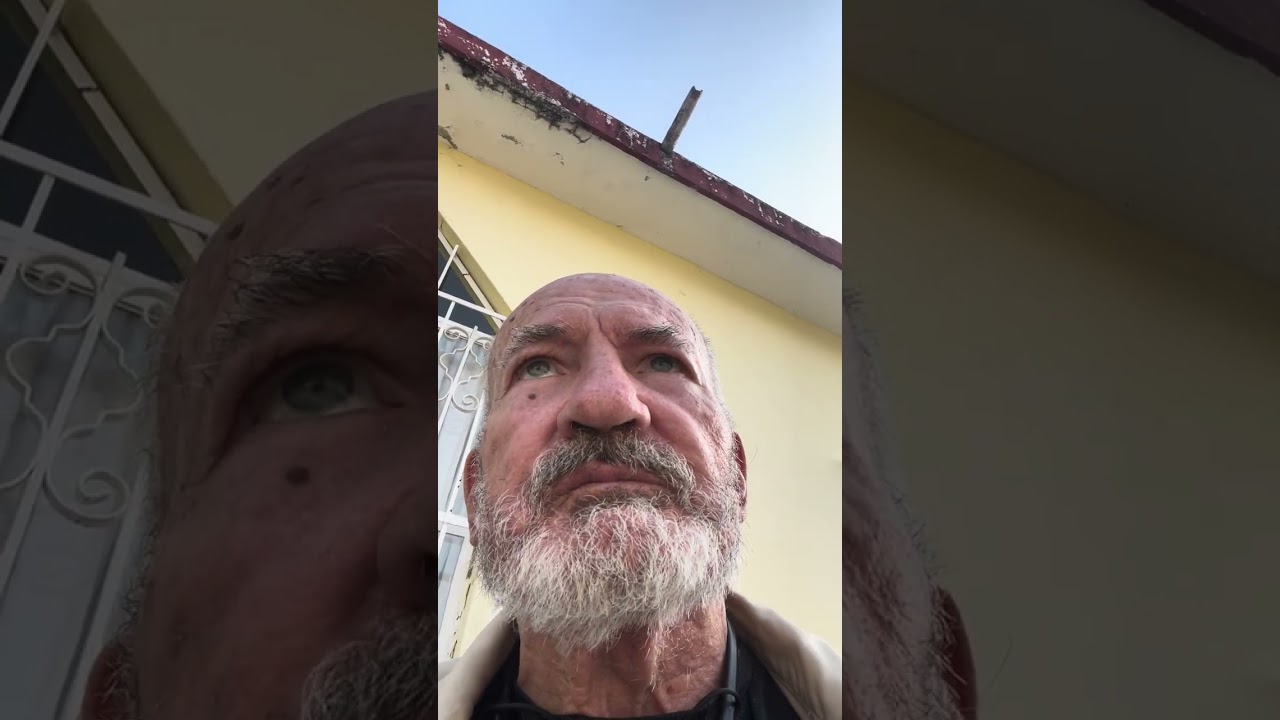 The sad story of losing a dog. Could be helpful if you are carry trauma (esp. guilt) around a loss.