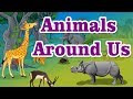 Class1  evs  animals around us  land animals