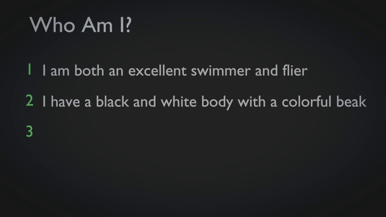 education film Who Am I - Birds - 2 - Educational Videos