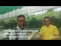 A customer review on tissue culture banana seedlings at the university of rajshahi