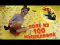 МЫШКИ - ПОЛЕ ИЗ 100 МЫШЕЛОВОК