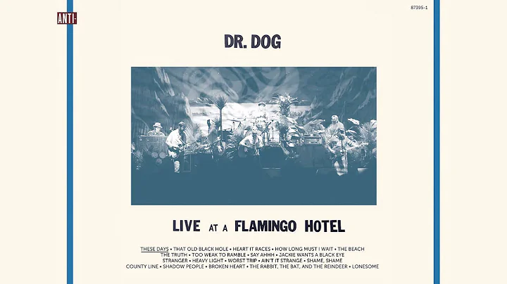Dr. Dog - "These Days" (Full Album Stream) - DayDayNews