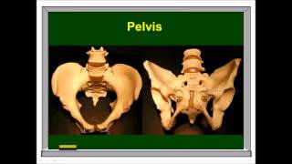 Sample CEC video clip for PFilates Instructors