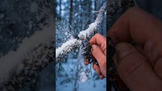 Title: Mini Chainsaw vs Frozen Branch #OddlySatisfying #WoodworkingProjects #toollovers