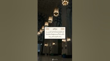 القارىء ريان المحيسني " روائع التلاوات " حالات
