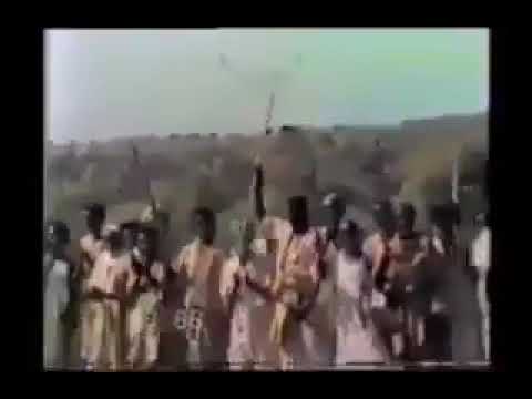 البطل الشهيد محمود حسب