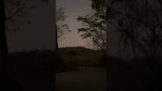 🌕Eclipse lunar 3 de Marzo 🇸🇻#viral #elsalvador #nature #eclipse