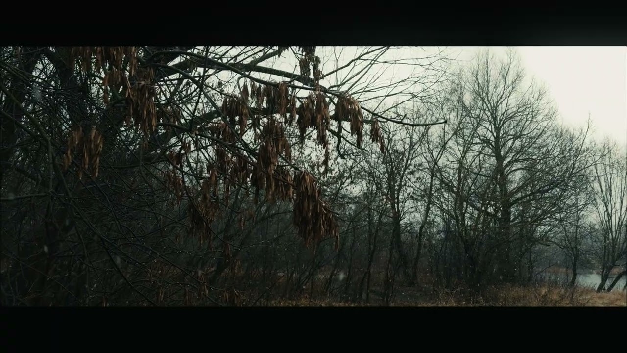 Первый снег. Apple Log Pro Res. iPhone 16Pro