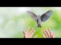 🌟 Coming Soon: విమోచన యేసయ్యే | Vimochana Yesayyae | Telugu Christian Song