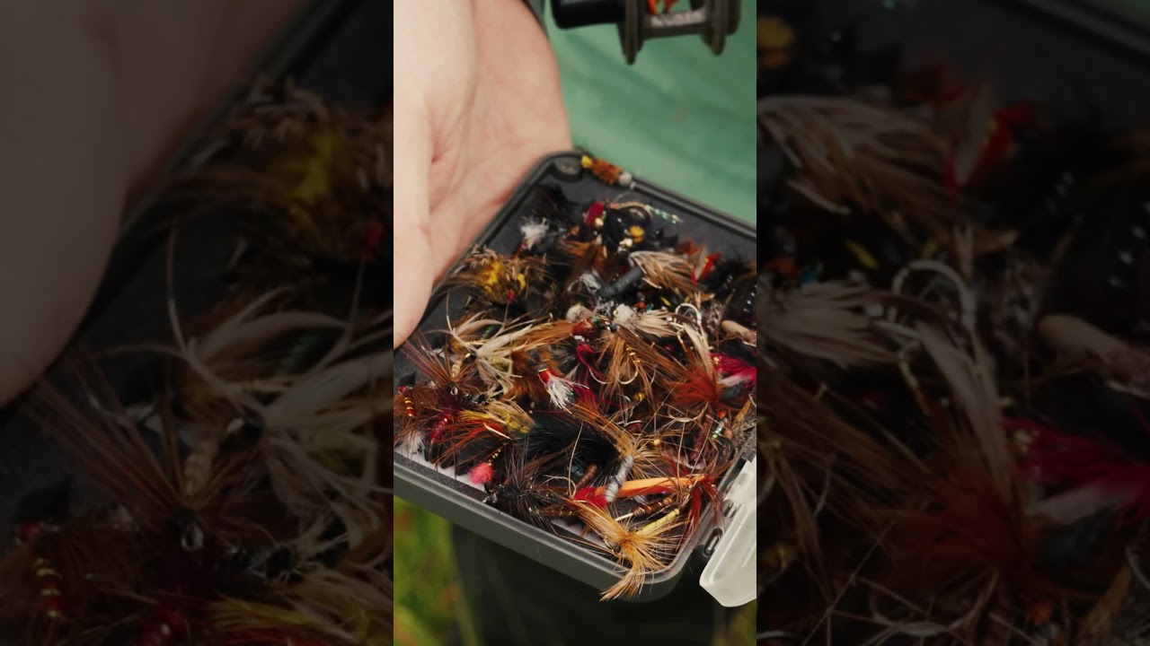 Лана Ричардсон показывает нам свою коробку для мух, полную стыда 😂