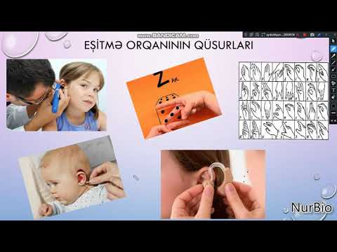 8-ci sinif - Duyğu orqanlarının qüsurları - NurBio