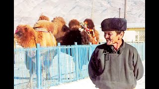 С.Ариунаа 'ҮЙЛС НЬ ӨӨДӨӨ МООЁО БАГШ' МҮОНРТ-ийн хөрөг нэвтрүүлэг