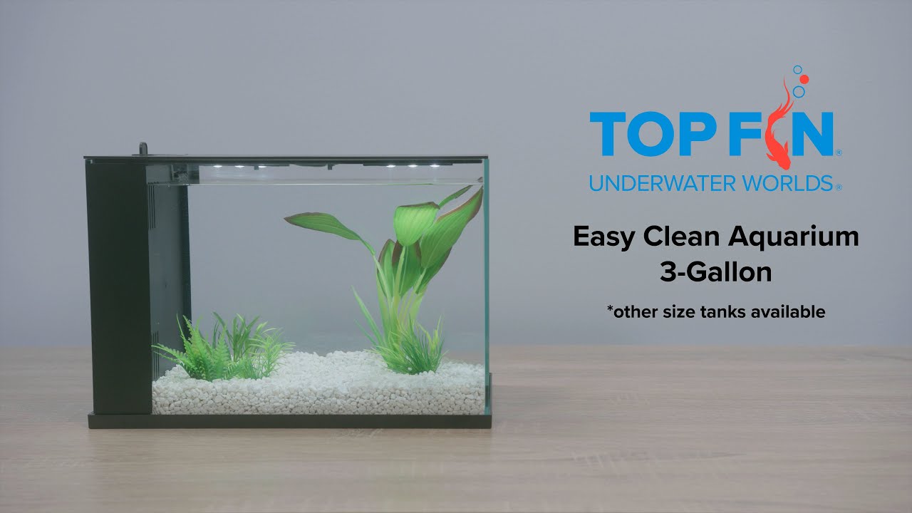 Top Fin Easy Clean Fish Tank 3 Gallon #Aquarium Setup