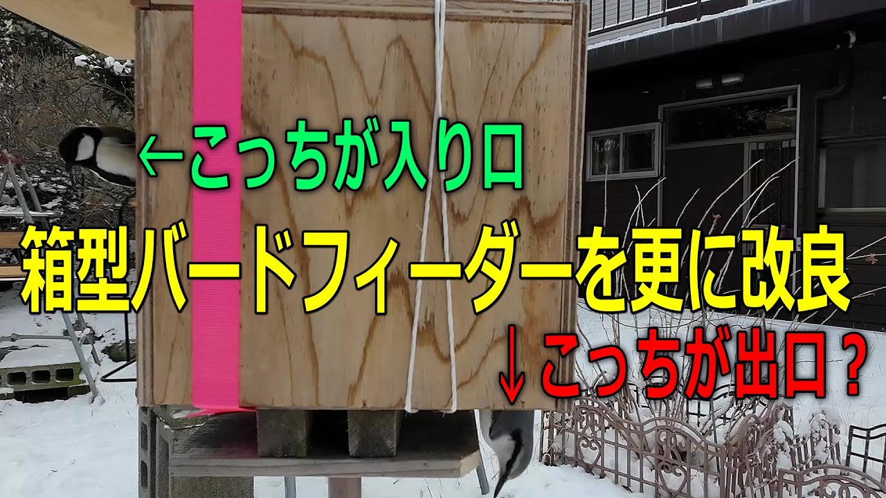 We've further improved our box-type bird feeder! Now you can enter