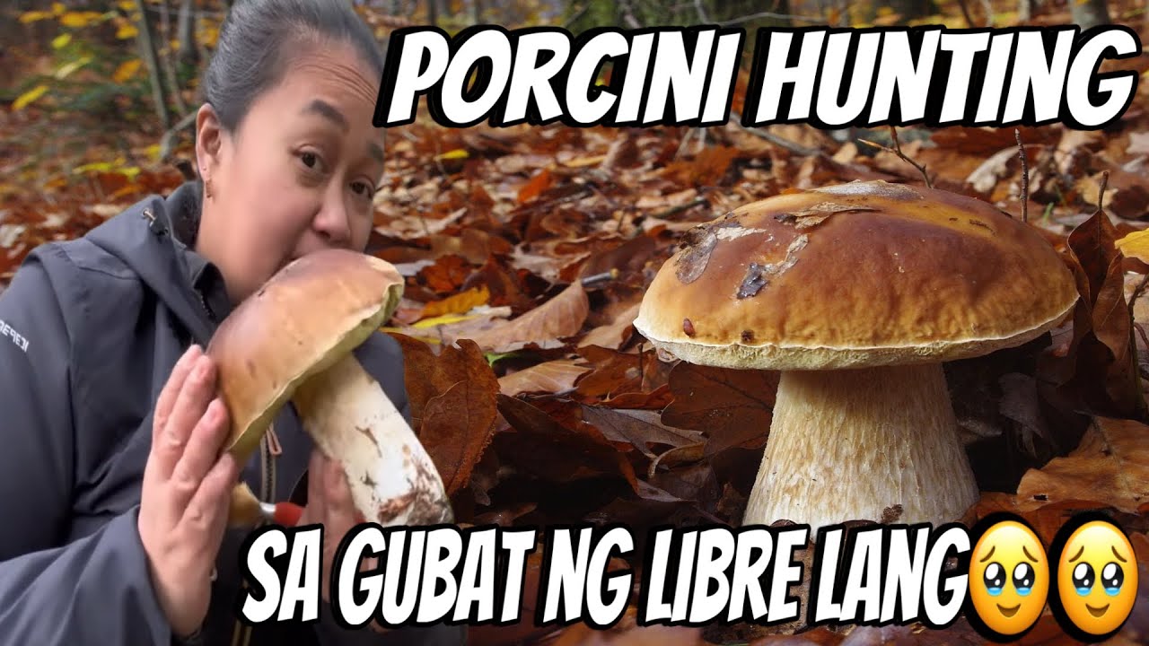 BOLETE HUNTING😳🍄‍🟫🍄 HULING ARAW NA SIGURO TO NG BOLETE HUNTING?!| THE LINDEMANS