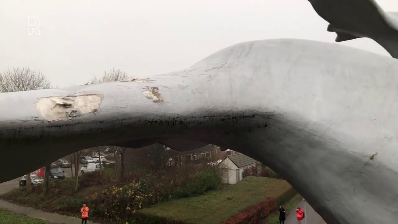 Zo ziet de walvisstaart waar een metrostel op belandde er van boven uit