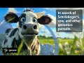 Why Gencove uses Graviton for most of their work - it's all about the science