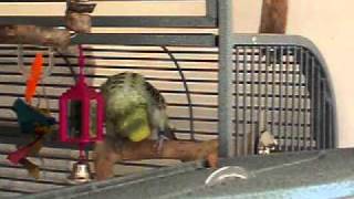 20111020_120000.AVI