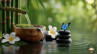 💧 Relaxing Bamboo Water | Zen Garden Ambience | Study • Sleep • Heal