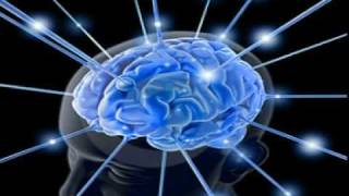 Psychedelic Trance Bamboo Forest - Transfer