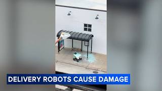 SPECIAL REPORT: Debate over food delivery robots in Chicago, videos of mishaps going viral