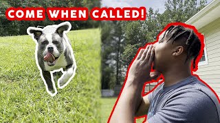 How To Get Your Dog To Come When Called EVERYTIME!